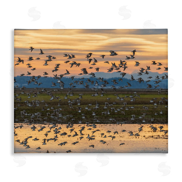 stupell industries Nancy Crowell | Flock of Birds Flying Lake Reflection Orange Sunset Wall Art