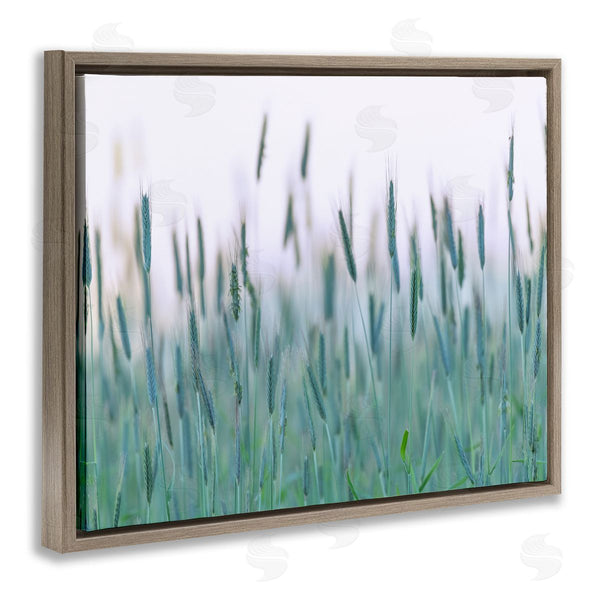 Stupell Industries Nancy Crowell | Green Wheat Field Sprigs Wall Art