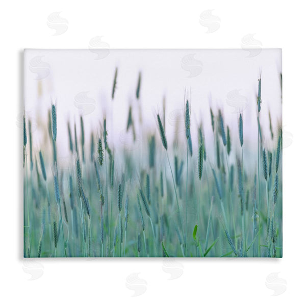 stupell industries Nancy Crowell | Green Wheat Field Sprigs Wall Art