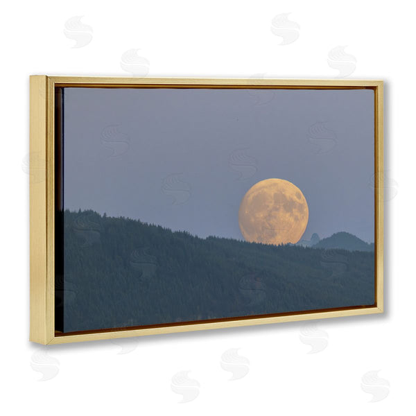 Stupell Industries Nancy Crowell | Majestic Moonrise Landscape