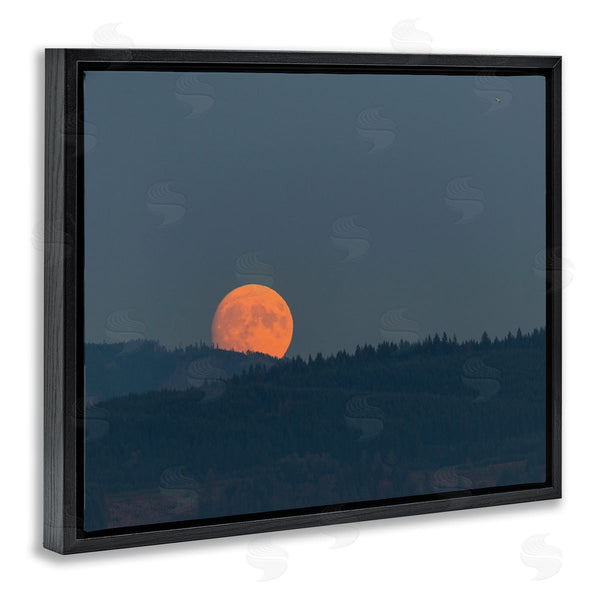 Stupell Industries Nancy Crowell | Orange Moon Over Dark Mountain Tree Forest Wall Art