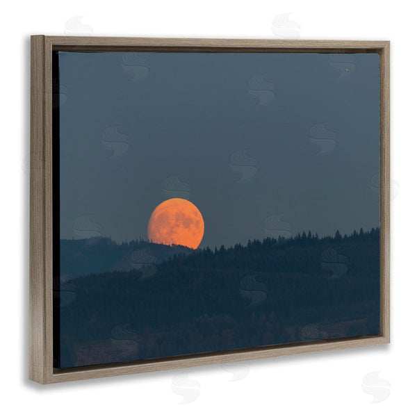 Stupell Industries Nancy Crowell | Orange Moon Over Dark Mountain Tree Forest Wall Art
