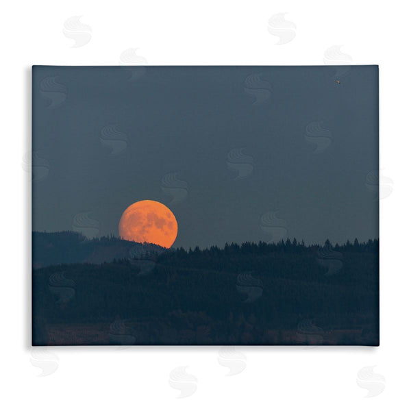 stupell industries Nancy Crowell | Orange Moon over Dark Mountain Tree Forest Wall Art