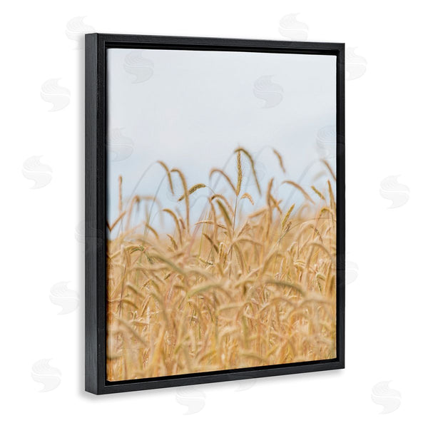 Stupell Industries Nancy Crowell | Rural Wheat Field Crops Wall Art