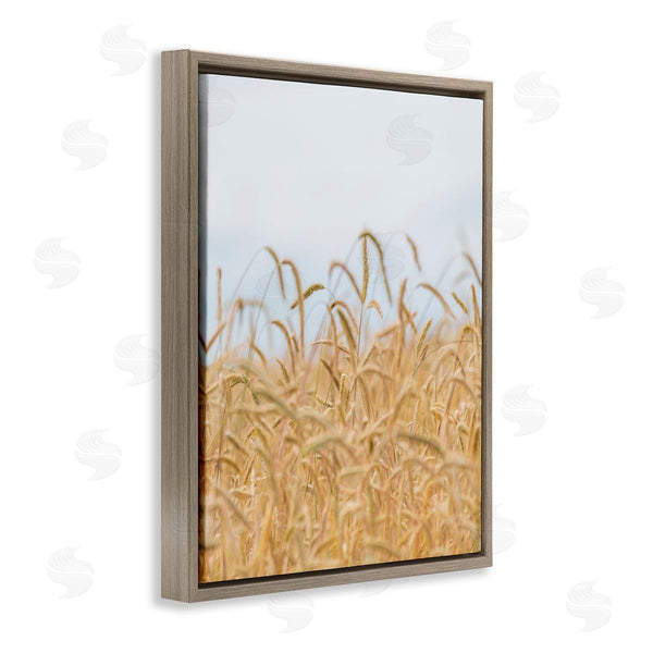 Stupell Industries Nancy Crowell | Rural Wheat Field Crops Wall Art