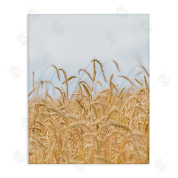 stupell industries Nancy Crowell | Rural Wheat Field Crops Wall Art