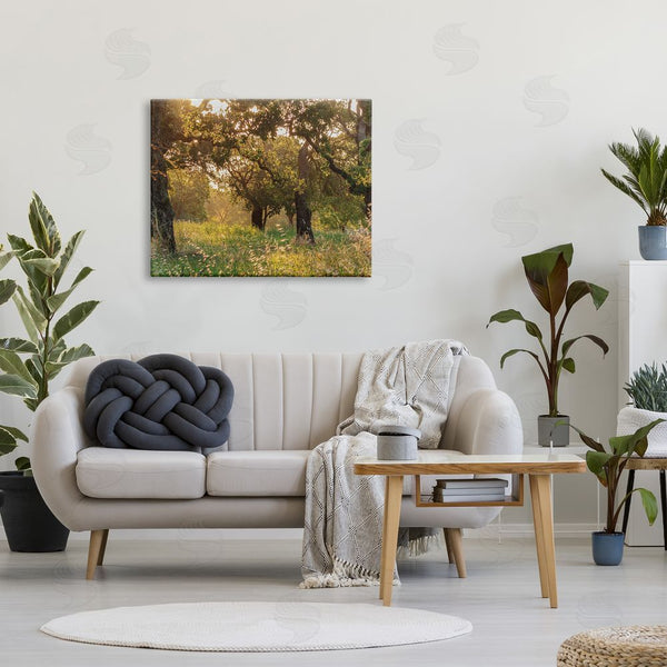Stupell Industries Nancy Crowell | Summer Sunlight Forest Trees Wild Tall Grass Wall Art