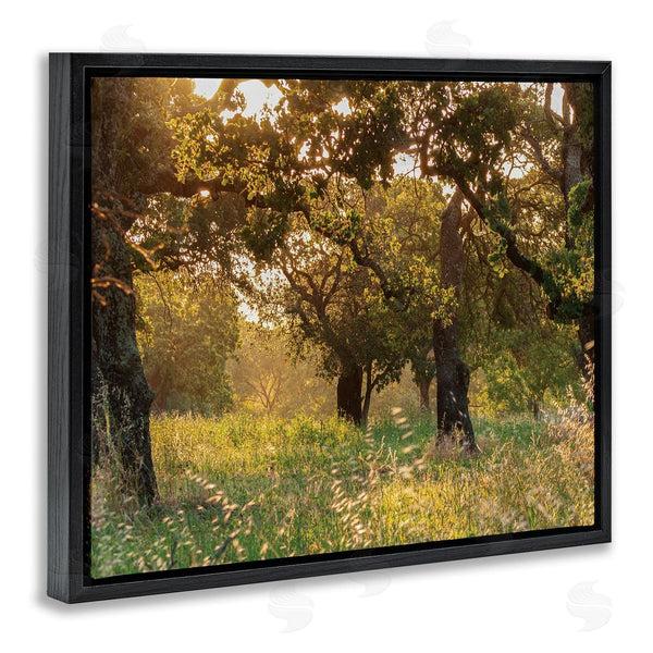Stupell Industries Nancy Crowell | Summer Sunlight Forest Trees Wild Tall Grass Wall Art