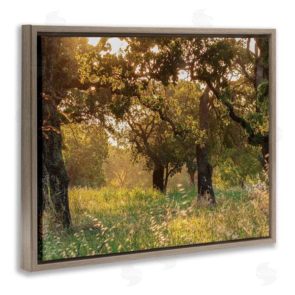 Stupell Industries Nancy Crowell | Summer Sunlight Forest Trees Wild Tall Grass Wall Art