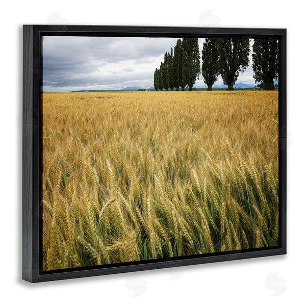 Stupell Industries Nancy Crowell | Wheat Field Harvest Windy Field Country Landscape Wall Art