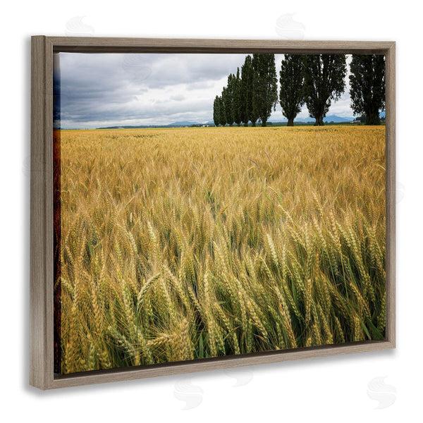 Stupell Industries Nancy Crowell | Wheat Field Harvest Windy Field Country Landscape Wall Art