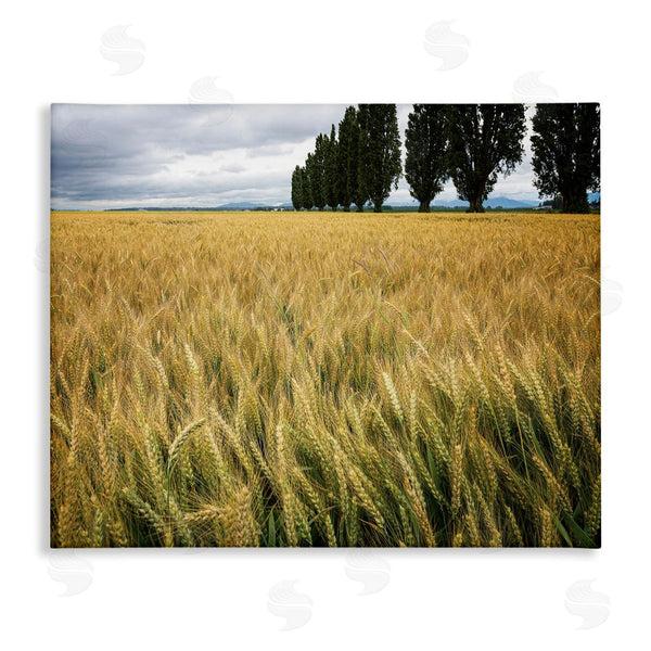 stupell industries Nancy Crowell | Wheat Field Harvest Windy Field Country Landscape Wall Art