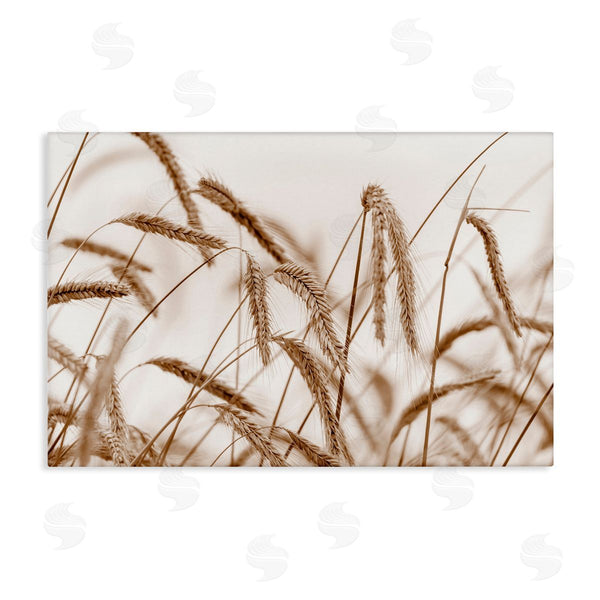 stupell industries Nancy Crowell | Windswept Wheat Sprigs Wall Art