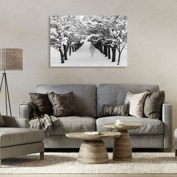 Stupell Industries Nancy Crowell | Winter Tree Pathway Wall Art