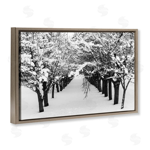 Stupell Industries Nancy Crowell | Winter Tree Pathway Wall Art