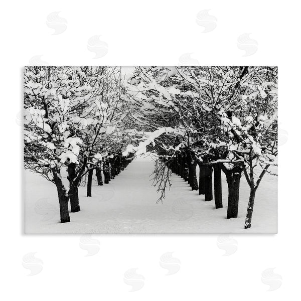 stupell industries Nancy Crowell | Winter Tree Pathway Wall Art