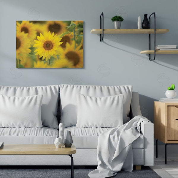 Stupell Industries Nancy Crowell | Yellow Sunflower Nursery Field Directed Focus Wall Art
