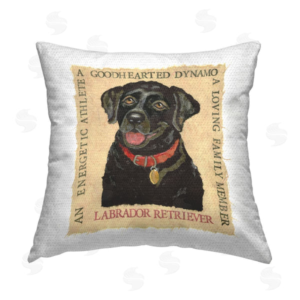 Stupell Industries Nancy Overton | Fun Black Labrador Phrases Printed Throw Pillow
