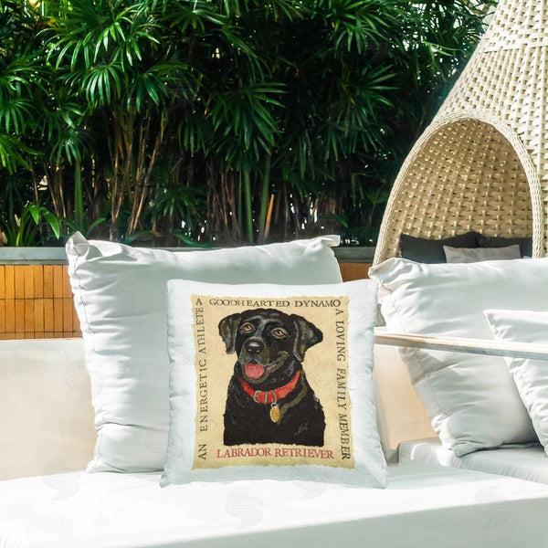 Stupell Industries Nancy Overton | Fun Black Labrador Phrases Printed Throw Pillow