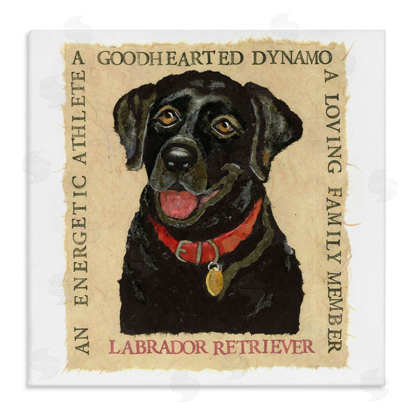 stupell industries Nancy Overton | Fun Black Labrador Phrases Wall Art