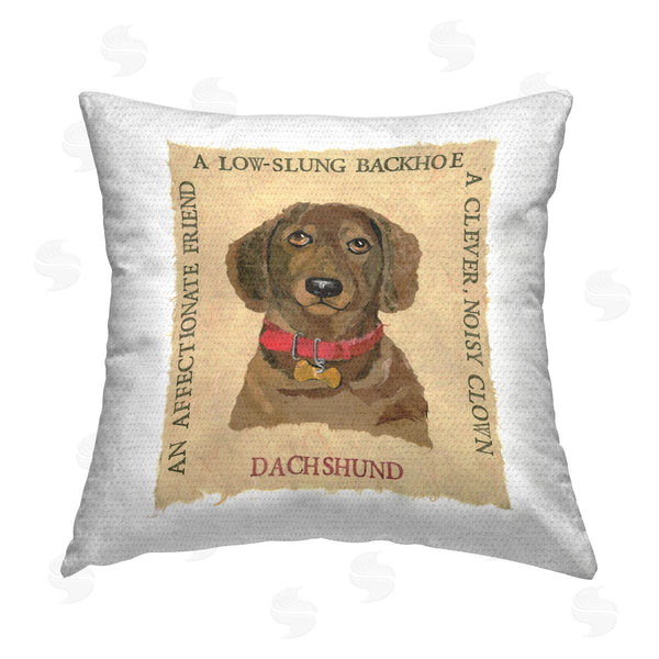 Stupell Industries Nancy Overton | Fun Dachshund Pet Phrases Printed Throw Pillow