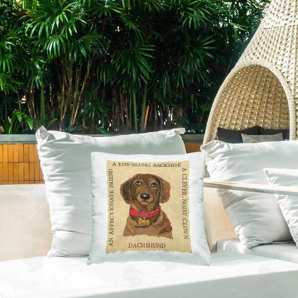 Stupell Industries Nancy Overton | Fun Dachshund Pet Phrases Printed Throw Pillow