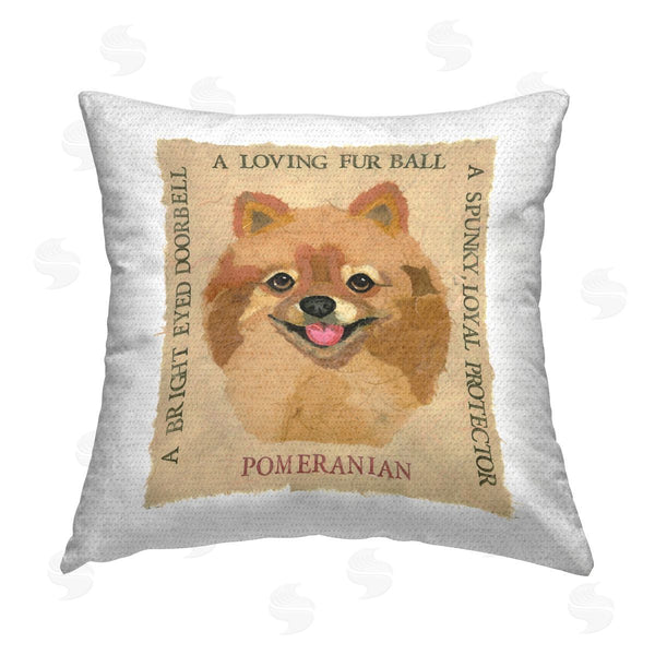 Stupell Industries Nancy Overton | Fun Pomeranian Pet Phrases Printed Throw Pillow