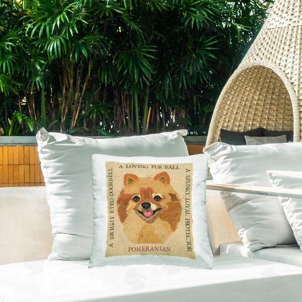 Stupell Industries Nancy Overton | Fun Pomeranian Pet Phrases Printed Throw Pillow