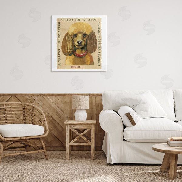 Stupell Industries Nancy Overton | Fun Poodle Pet Phrases Wall Art