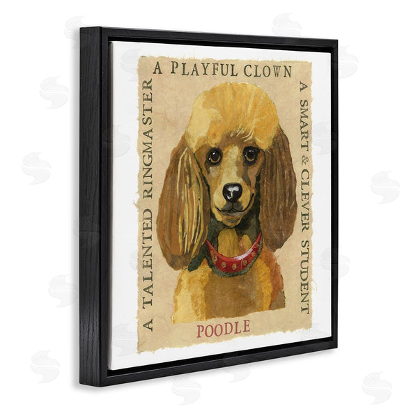Stupell Industries Nancy Overton | Fun Poodle Pet Phrases Wall Art