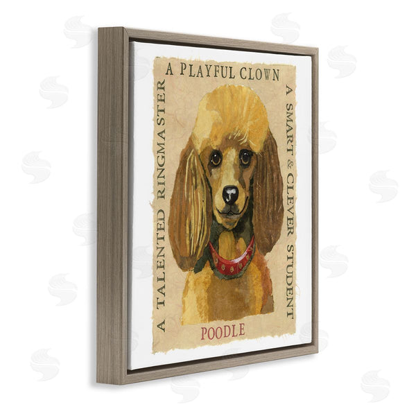 Stupell Industries Nancy Overton | Fun Poodle Pet Phrases Wall Art
