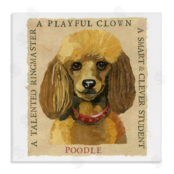 stupell industries Nancy Overton | Fun Poodle Pet Phrases Wall Art