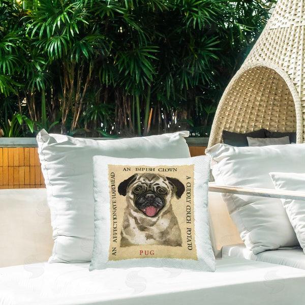Stupell Industries Nancy Overton | Fun Pug Pet Phrases Printed Throw Pillow