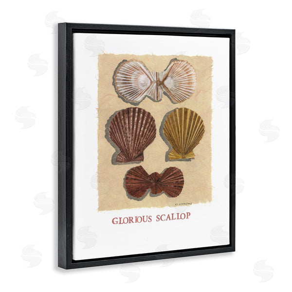 Stupell Industries Nancy Overton | Glorious Scallop Shells