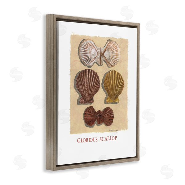 Stupell Industries Nancy Overton | Glorious Scallop Shells