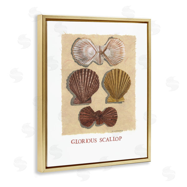 Stupell Industries Nancy Overton | Glorious Scallop Shells