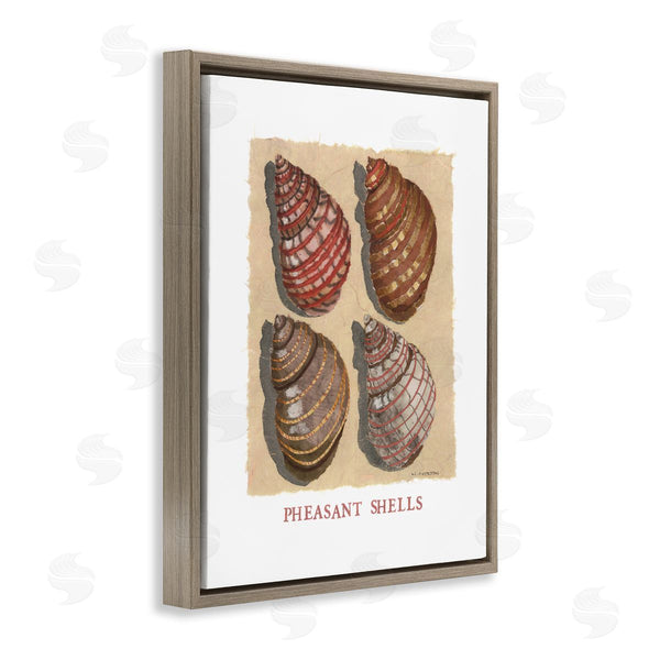 Stupell Industries Nancy Overton | Nautical Pheasant Shells