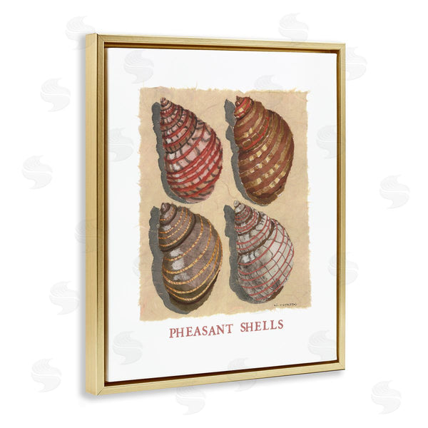 Stupell Industries Nancy Overton | Nautical Pheasant Shells