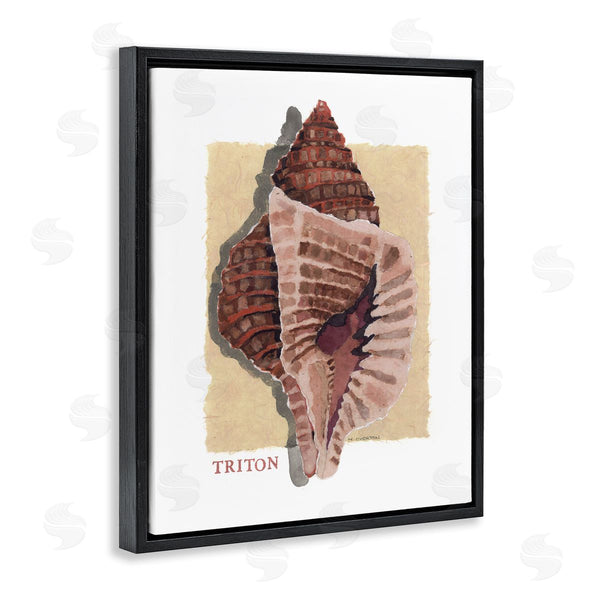 Stupell Industries Nancy Overton | Nautical Triton Shell