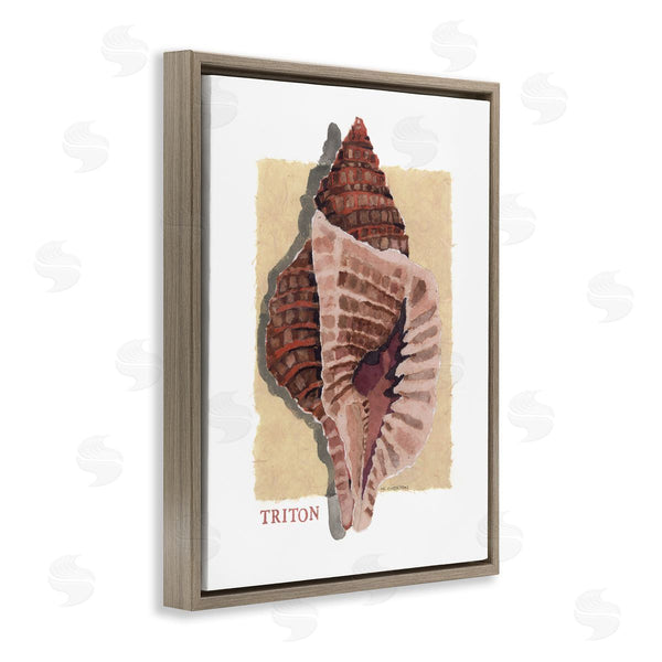 Stupell Industries Nancy Overton | Nautical Triton Shell