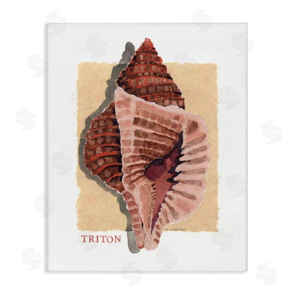 stupell industries Nancy Overton | Nautical Triton Shell