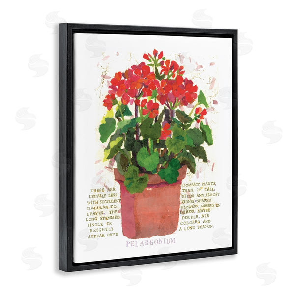 Stupell Industries Nancy Overton | Red Potted Geranium