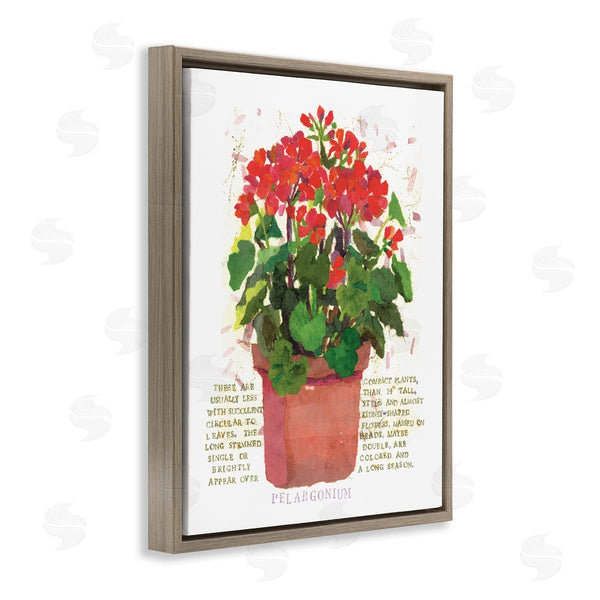 Stupell Industries Nancy Overton | Red Potted Geranium