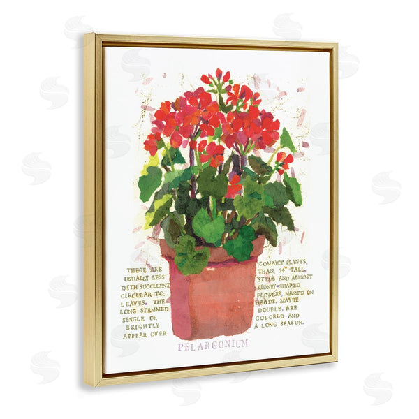 Stupell Industries Nancy Overton | Red Potted Geranium