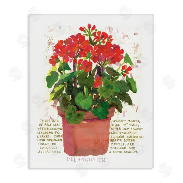stupell industries Nancy Overton | Red Potted Geranium