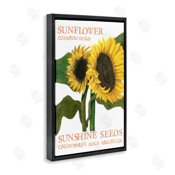 Stupell Industries Nancy Overton | Sunflower Seeds Design