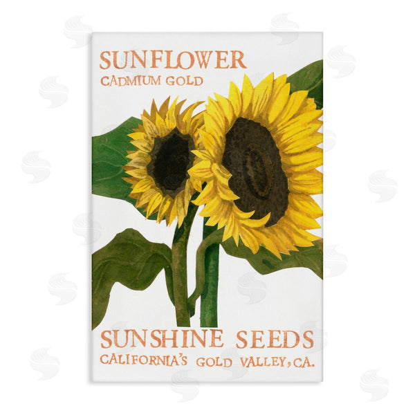 stupell industries Nancy Overton | Sunflower Seeds Design