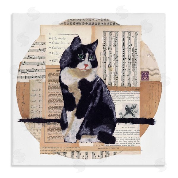 stupell industries Nancy Overton | Tuxedo Cat Collage