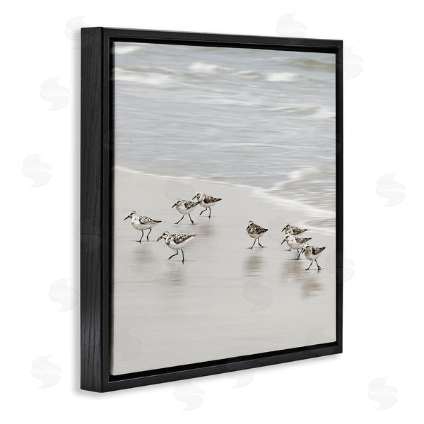 Stupell Industries Natalie Carpentieri | Beach Birds Scurrying