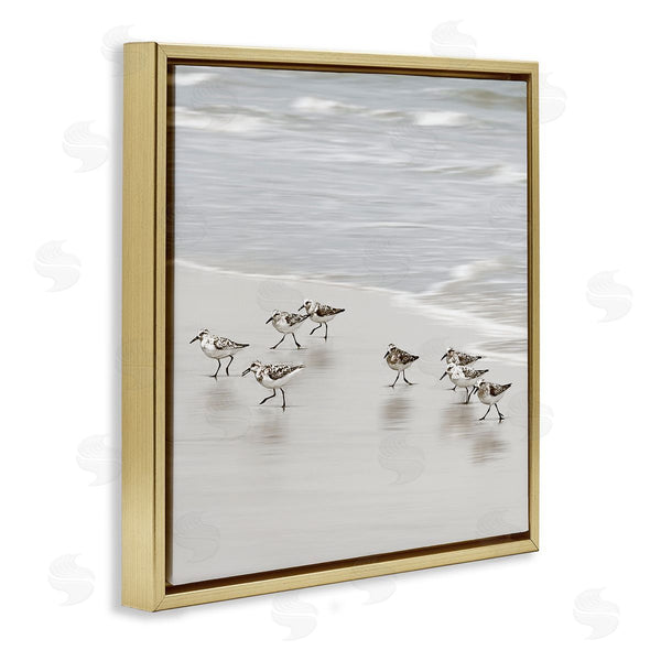 Stupell Industries Natalie Carpentieri | Beach Birds Scurrying